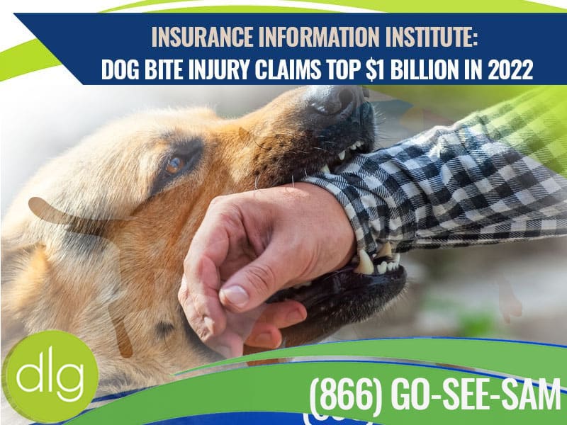 A dog bites a person's arm wearing a plaid shirt. Text above reports dog bite injury claims exceeding $1 billion in 2022.