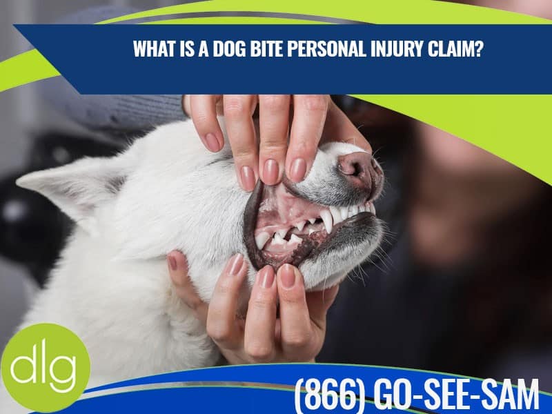 A person holds open a white dog's mouth, exposing its teeth. Text reads, "What is a dog bite personal injury claim?" with a phone number and "dlg" logo visible.