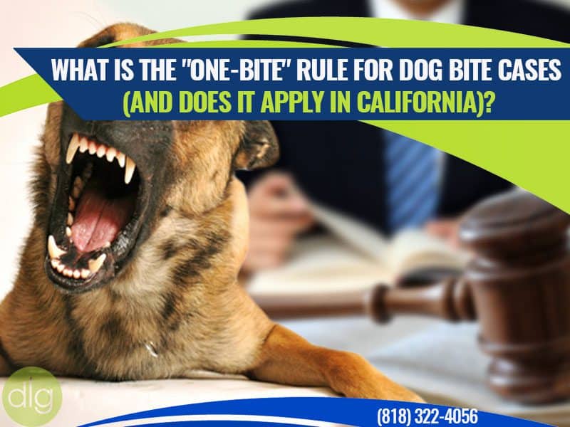 A snarling dog with bared teeth is in the foreground, while a blurred gavel and person in a suit are in the background; text discusses California dog bite laws.