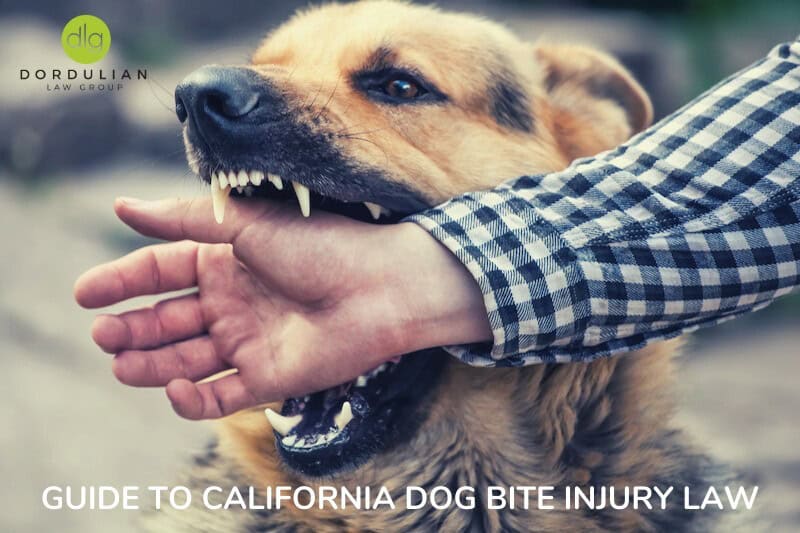 A dog bites a person's arm near the wrist; text on image reads "Guide to California Dog Bite Injury Law" and "Dordulian Law Group.
