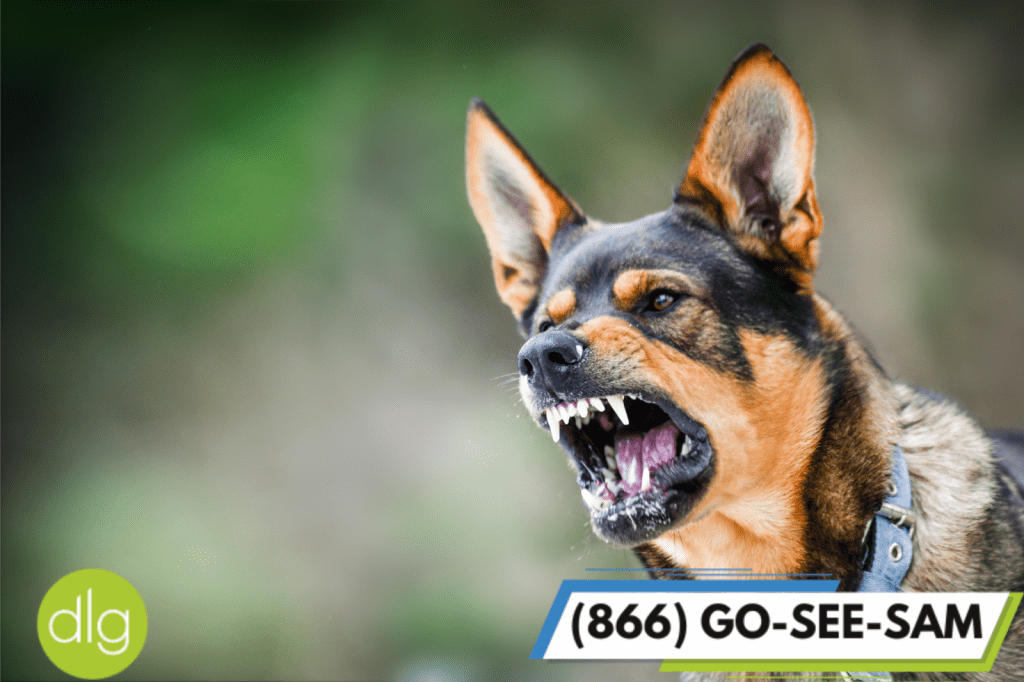dog showing teeth looking angry