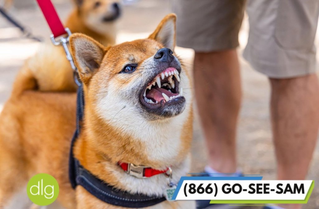 Dog Attack